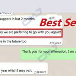 Recent Customer Success: High-Strength Structural Steel Plates Exported to Italy